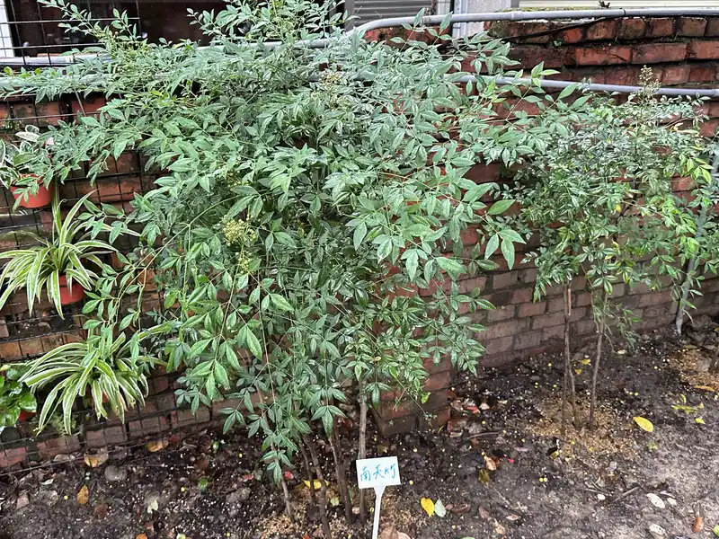 2023 06 17 50 萬華糖部文化園區