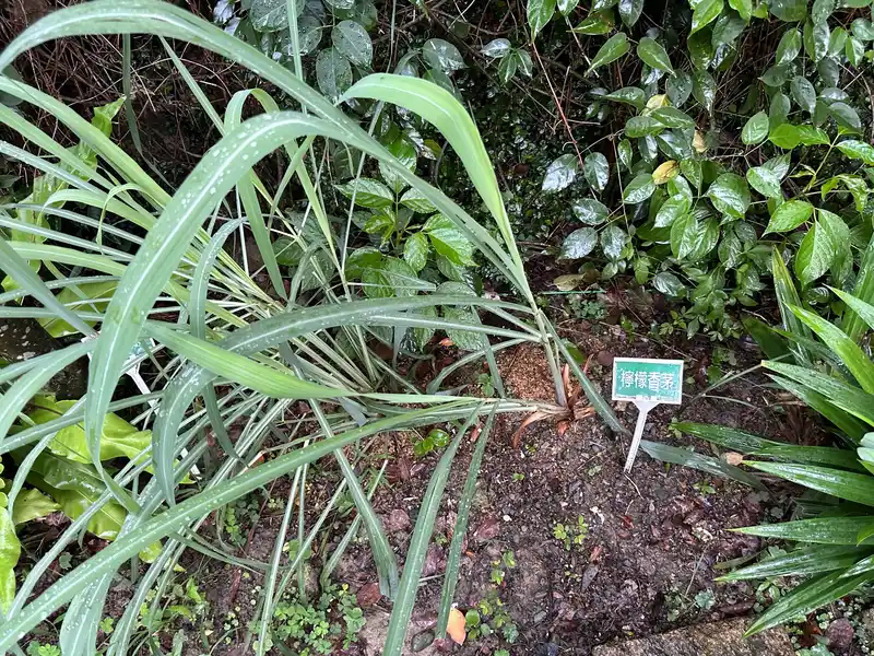 2023 06 17 55 萬華糖部文化園區