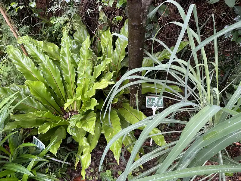 2023 06 17 56 萬華糖部文化園區