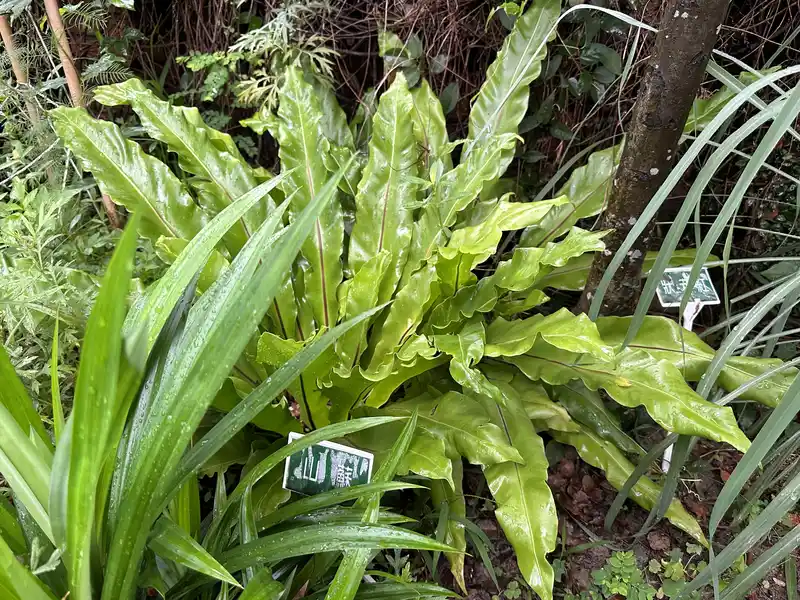 2023 06 17 58 萬華糖部文化園區