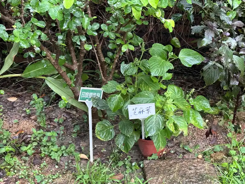 2023 06 17 61 萬華糖部文化園區