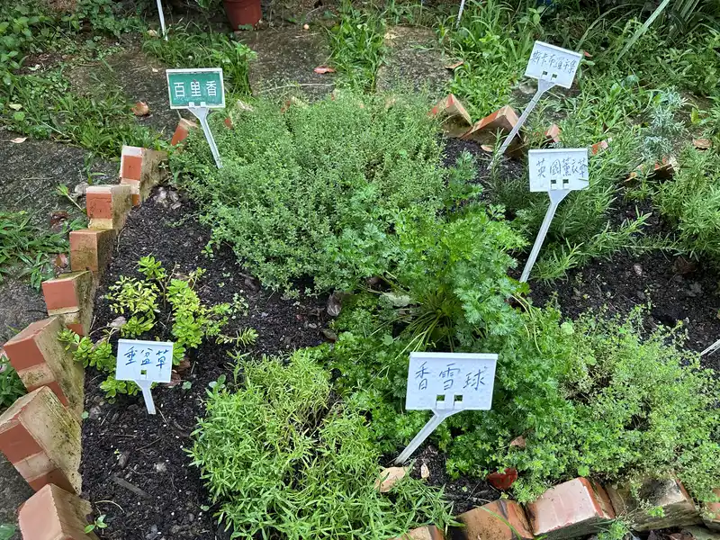 2023 06 17 63 萬華糖部文化園區