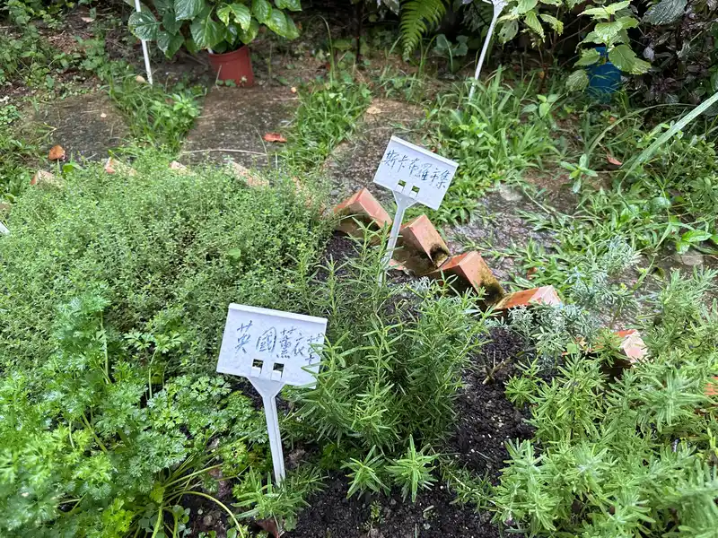 2023 06 17 65 萬華糖部文化園區