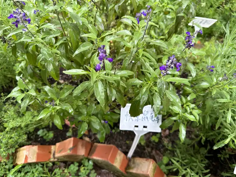 2023 06 17 66 萬華糖部文化園區