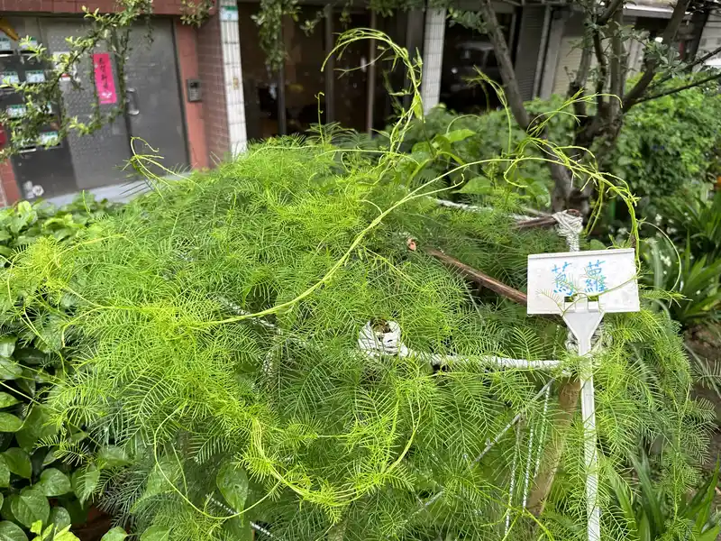 2023 06 17 69 萬華糖部文化園區