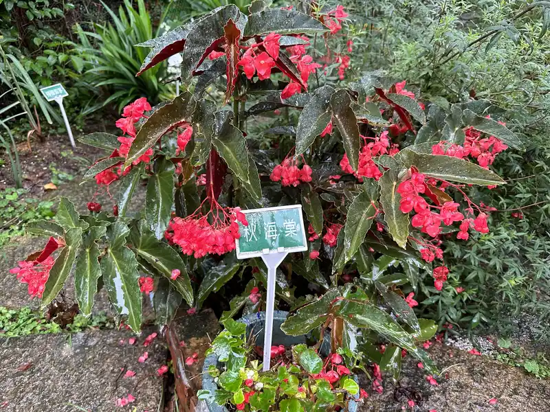 2023 06 17 70 萬華糖部文化園區