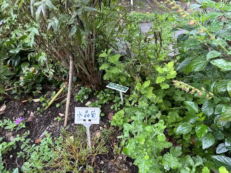 2023 06 17 73 萬華糖部文化園區