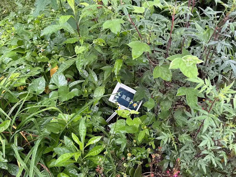 2023 06 17 87 萬華糖部文化園區