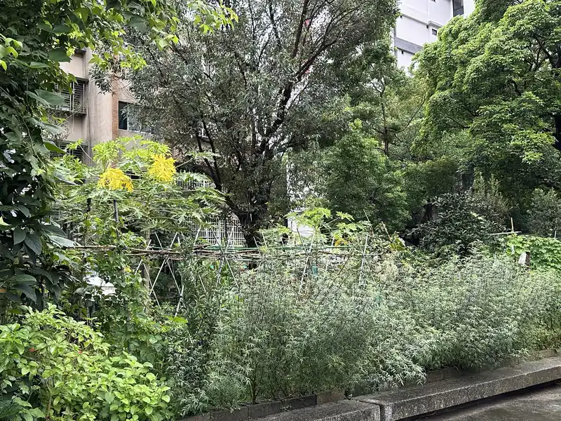 2023 06 17 90 萬華糖部文化園區