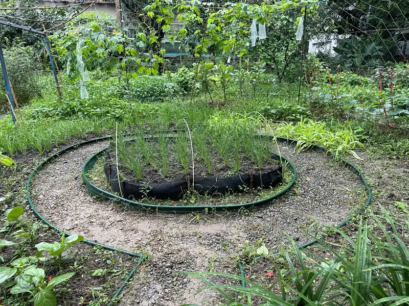 2023 06 17 91 萬華糖部文化園區