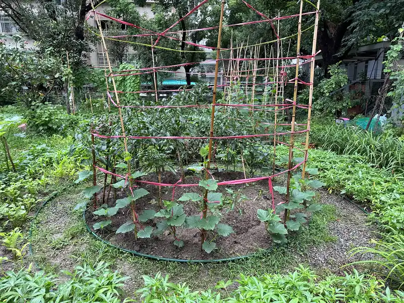 2023 06 17 92 萬華糖部文化園區