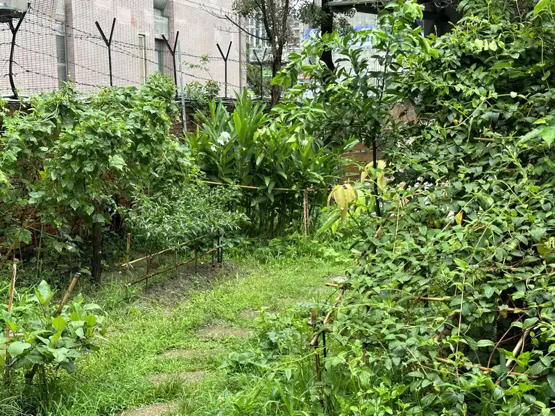 2023 06 17 93 萬華糖部文化園區