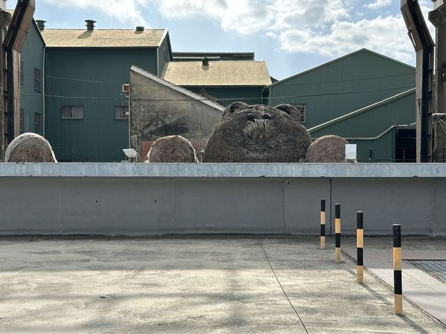 2024 01 10 09 台東糖廠