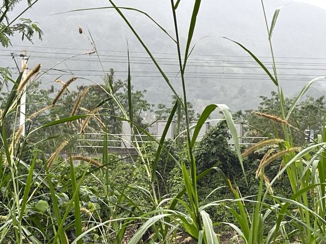 2024 01 10 10 舞鶴