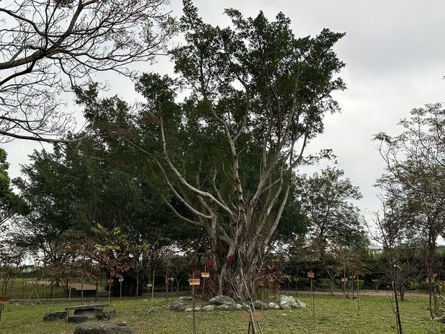 2024 01 10 12 干城