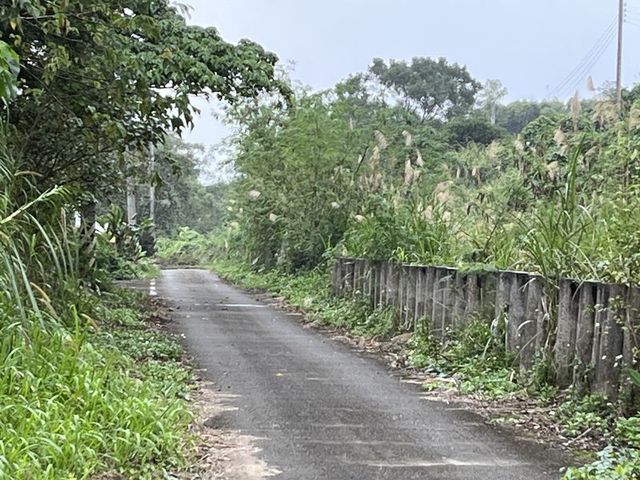 2024 01 10 12 舞鶴