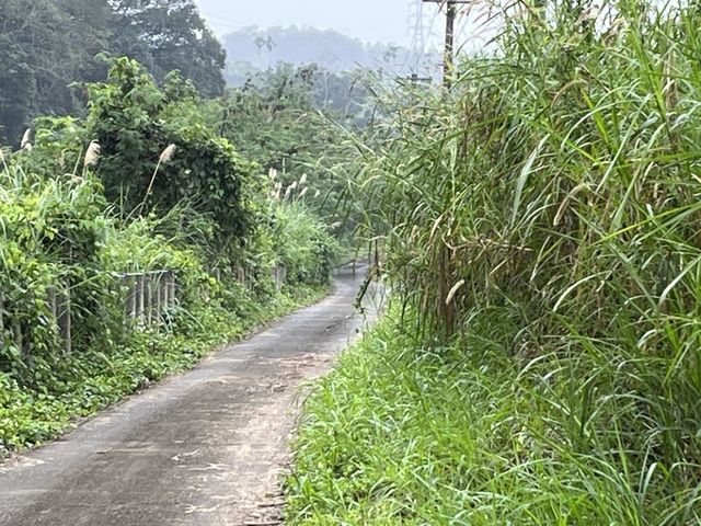 2024 01 10 13 舞鶴