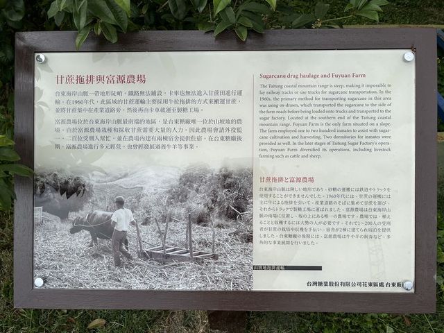 2024 01 10 62 台東糖廠