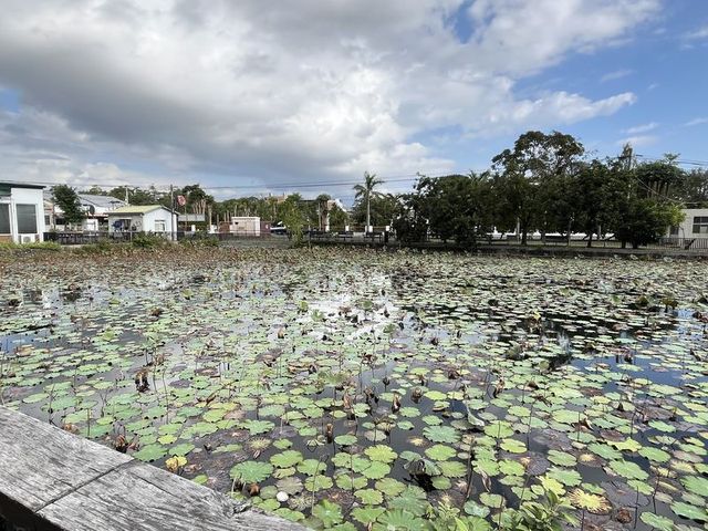 2024 01 10 63 台東糖廠