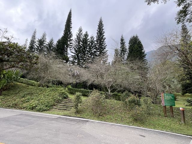 2024 01 11 04 池南國家森林遊樂區