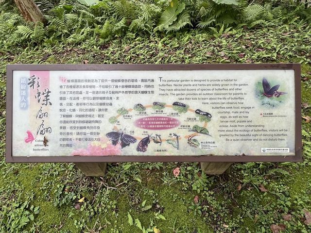 2024 01 11 10 池南國家森林遊樂區