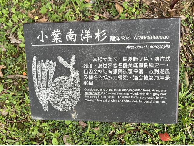 2024 01 11 13 池南國家森林遊樂區