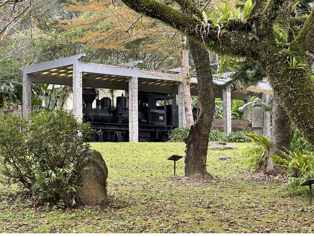 2024 01 11 15 池南國家森林遊樂區