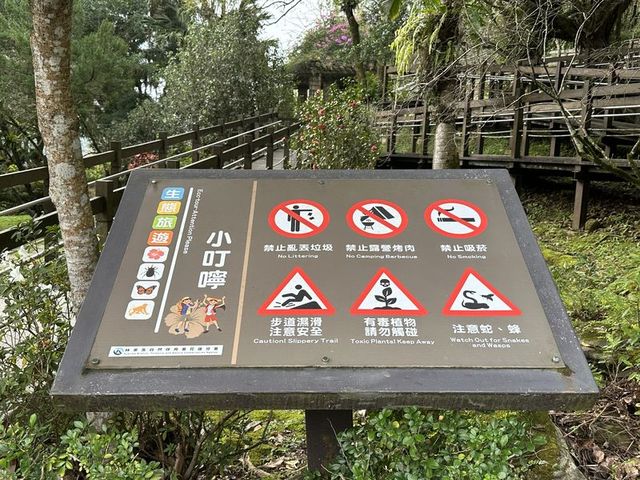2024 01 11 157 池南國家森林遊樂區