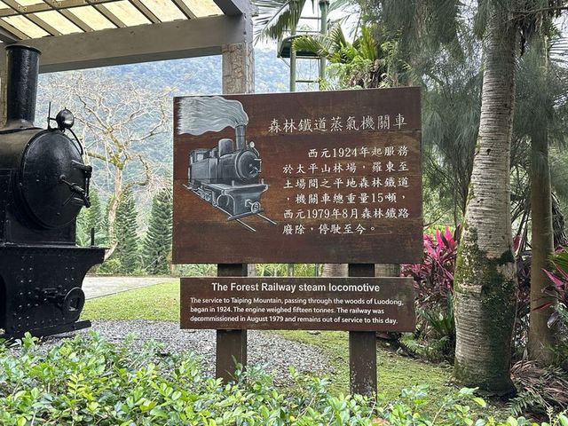 2024 01 11 158 池南國家森林遊樂區