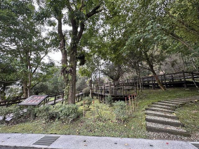 2024 01 11 161 池南國家森林遊樂區