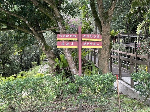 2024 01 11 162 池南國家森林遊樂區