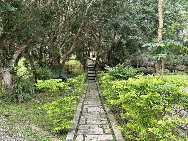 2024 01 11 166 池南國家森林遊樂區