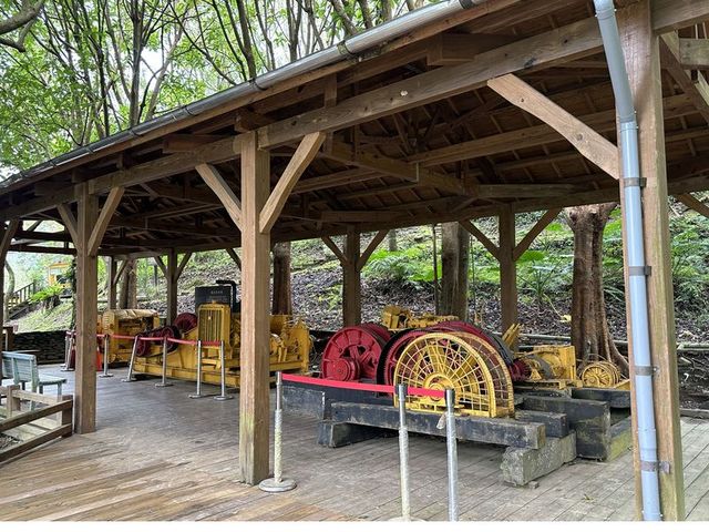 2024 01 11 176 池南國家森林遊樂區