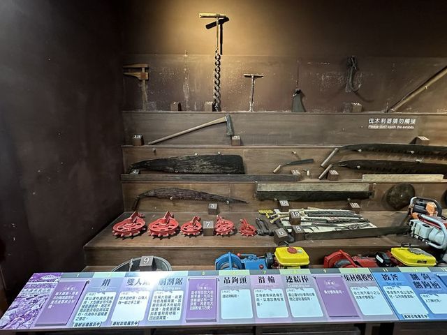 2024 01 11 197 池南國家森林遊樂區