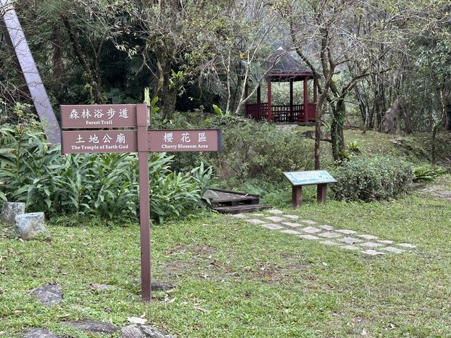 2024 01 11 220 池南國家森林遊樂區