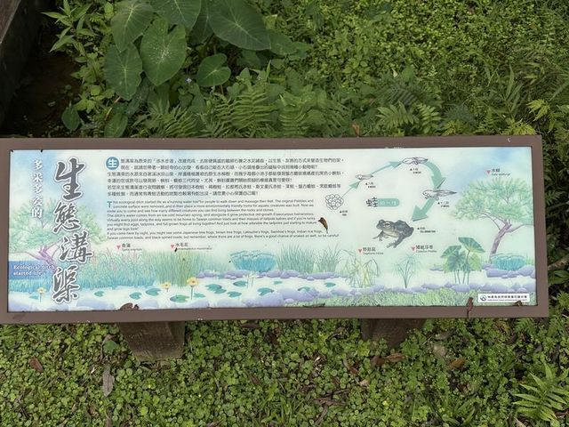 2024 01 11 221 池南國家森林遊樂區