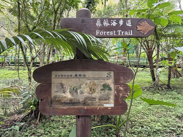 2024 01 11 240 池南國家森林遊樂區