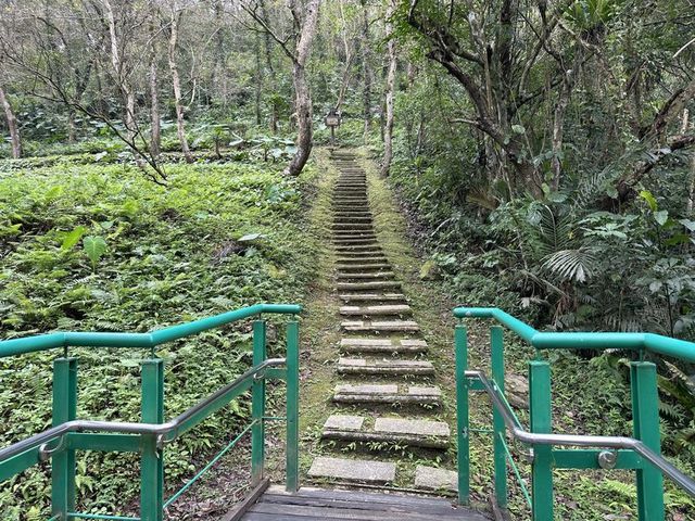 2024 01 11 242 池南國家森林遊樂區