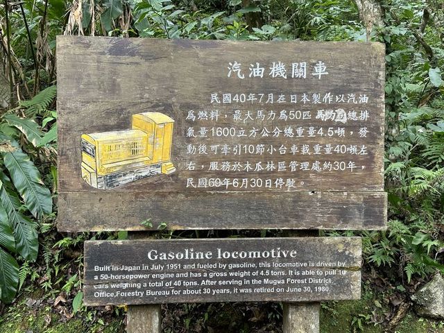 2024 01 11 250 池南國家森林遊樂區