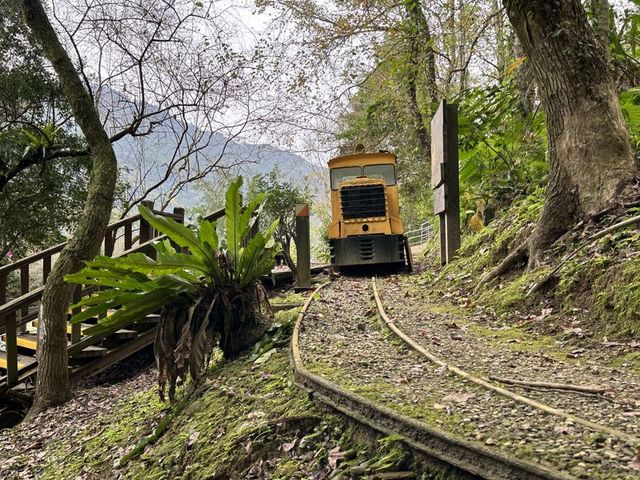 2024 01 11 252 池南國家森林遊樂區