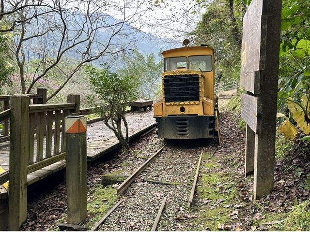 2024 01 11 253 池南國家森林遊樂區