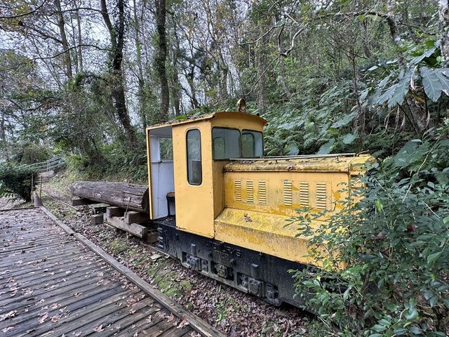 2024 01 11 254 池南國家森林遊樂區