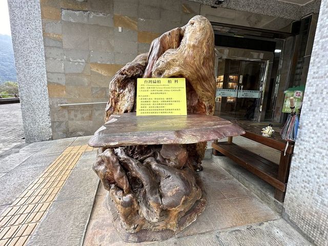 2024 01 11 26 池南國家森林遊樂區