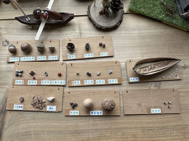 2024 01 11 30 池南國家森林遊樂區