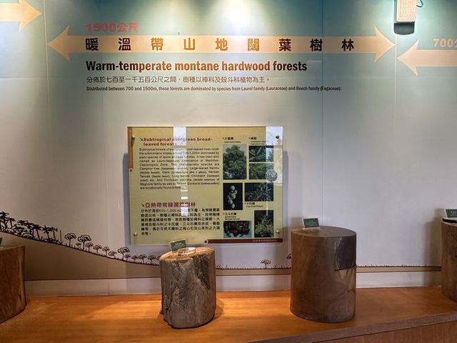 2024 01 11 35 池南國家森林遊樂區