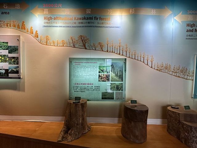 2024 01 11 36 池南國家森林遊樂區