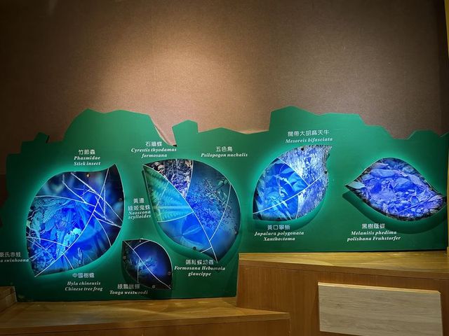 2024 01 11 38 池南國家森林遊樂區