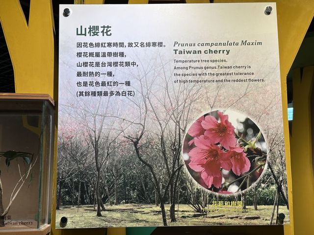 2024 01 11 40 池南國家森林遊樂區