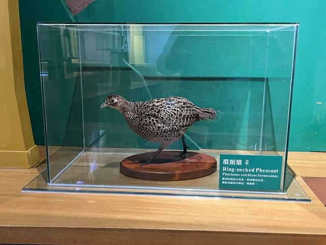 2024 01 11 42 池南國家森林遊樂區