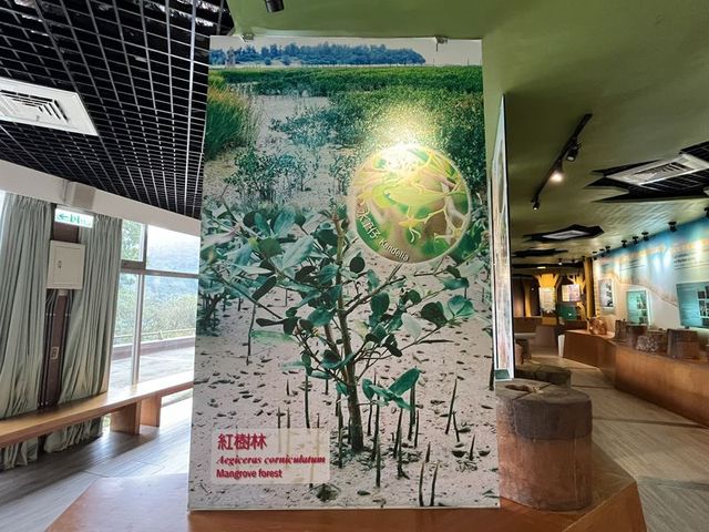 2024 01 11 45 池南國家森林遊樂區